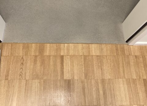 IMG_0791-480x346